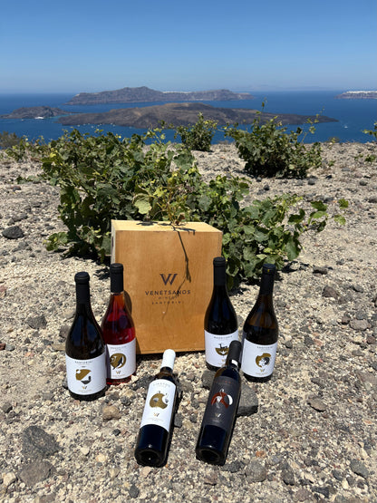 Venetsanos Oak Santorini Assyrtiko 2019 (750ml)
